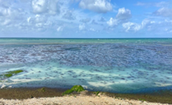 Croisière Catamaran aux Caraïbes Blue Note
