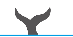 Logo Blue Note Croisière